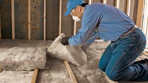 Best Crawl Space Insulation  in Ashtabula, OH